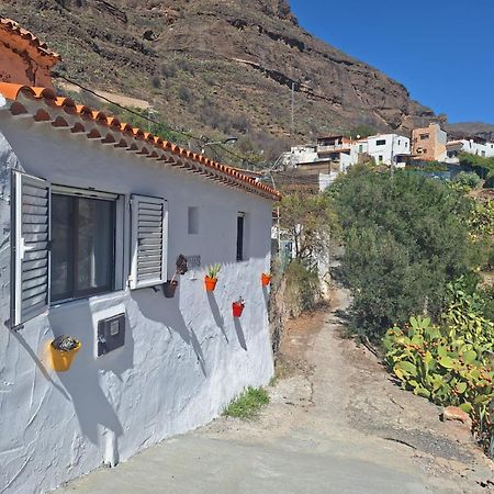 Casa Rural Los Pinares El Juncal De Tejeda ภายนอก รูปภาพ