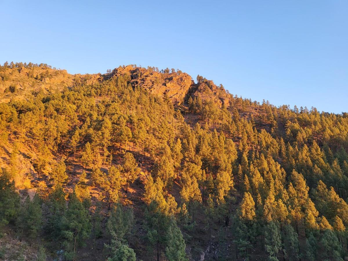 Casa Rural Los Pinares El Juncal De Tejeda ภายนอก รูปภาพ