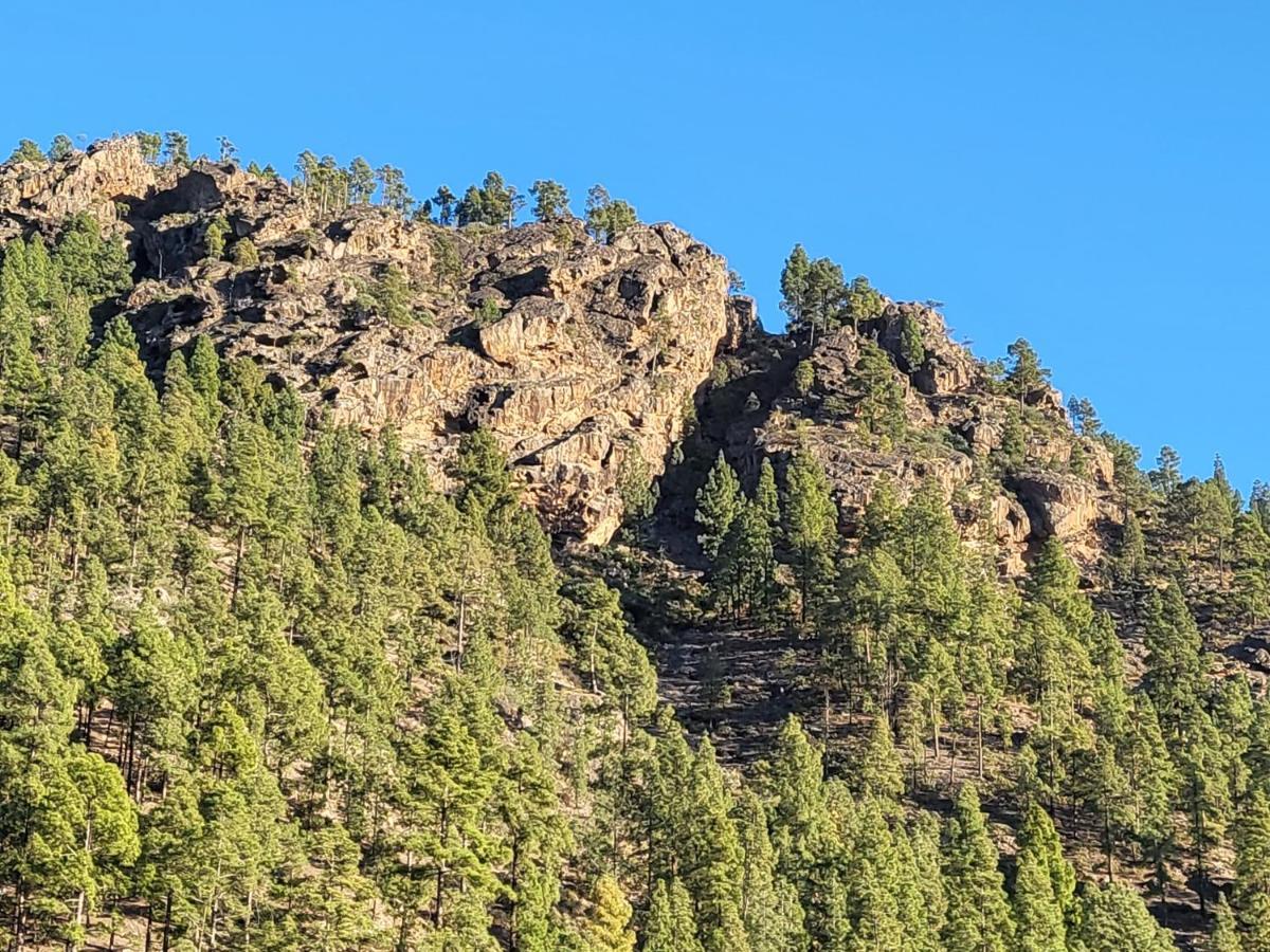 Casa Rural Los Pinares El Juncal De Tejeda ภายนอก รูปภาพ