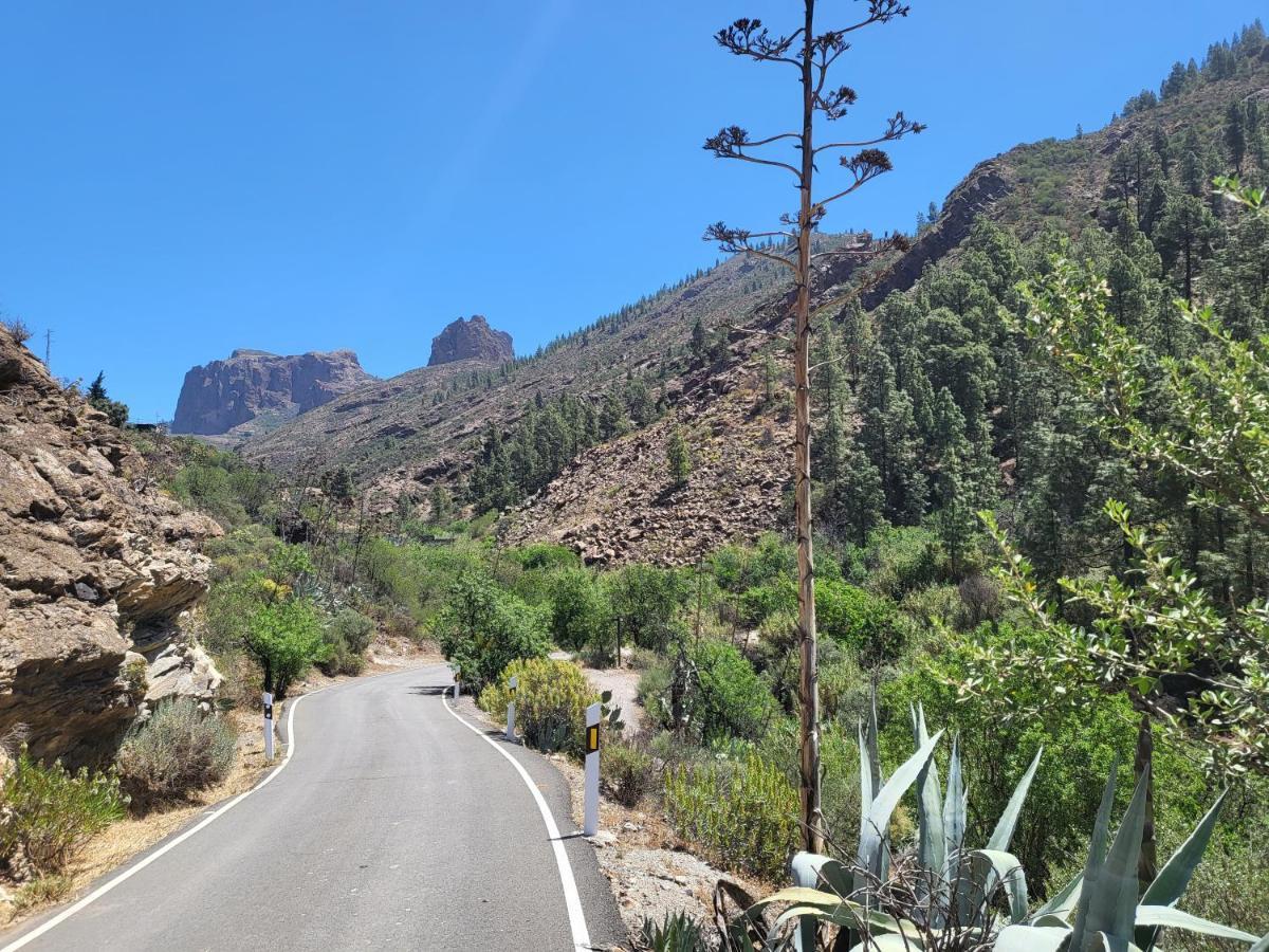 Casa Rural Los Pinares El Juncal De Tejeda ภายนอก รูปภาพ