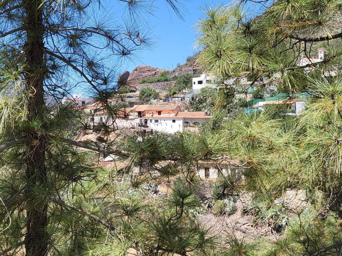 Casa Rural Los Pinares El Juncal De Tejeda ภายนอก รูปภาพ