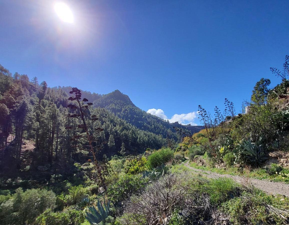 Casa Rural Los Pinares El Juncal De Tejeda ภายนอก รูปภาพ