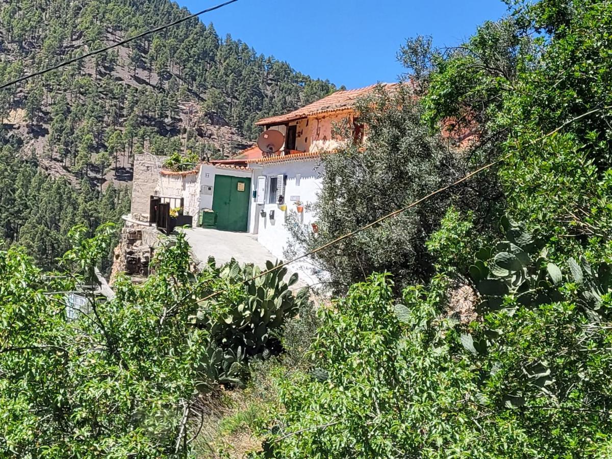 Casa Rural Los Pinares El Juncal De Tejeda ภายนอก รูปภาพ
