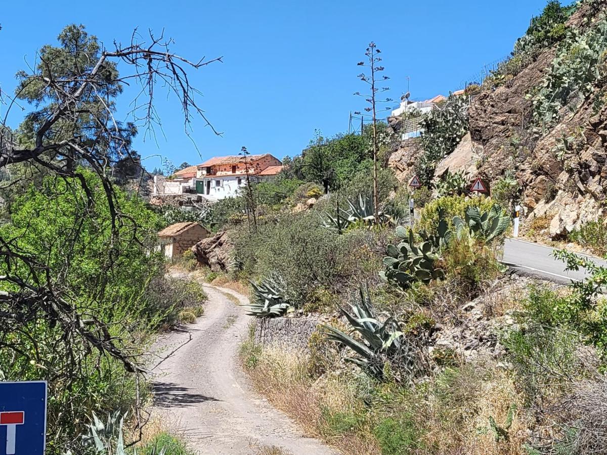 Casa Rural Los Pinares El Juncal De Tejeda ภายนอก รูปภาพ