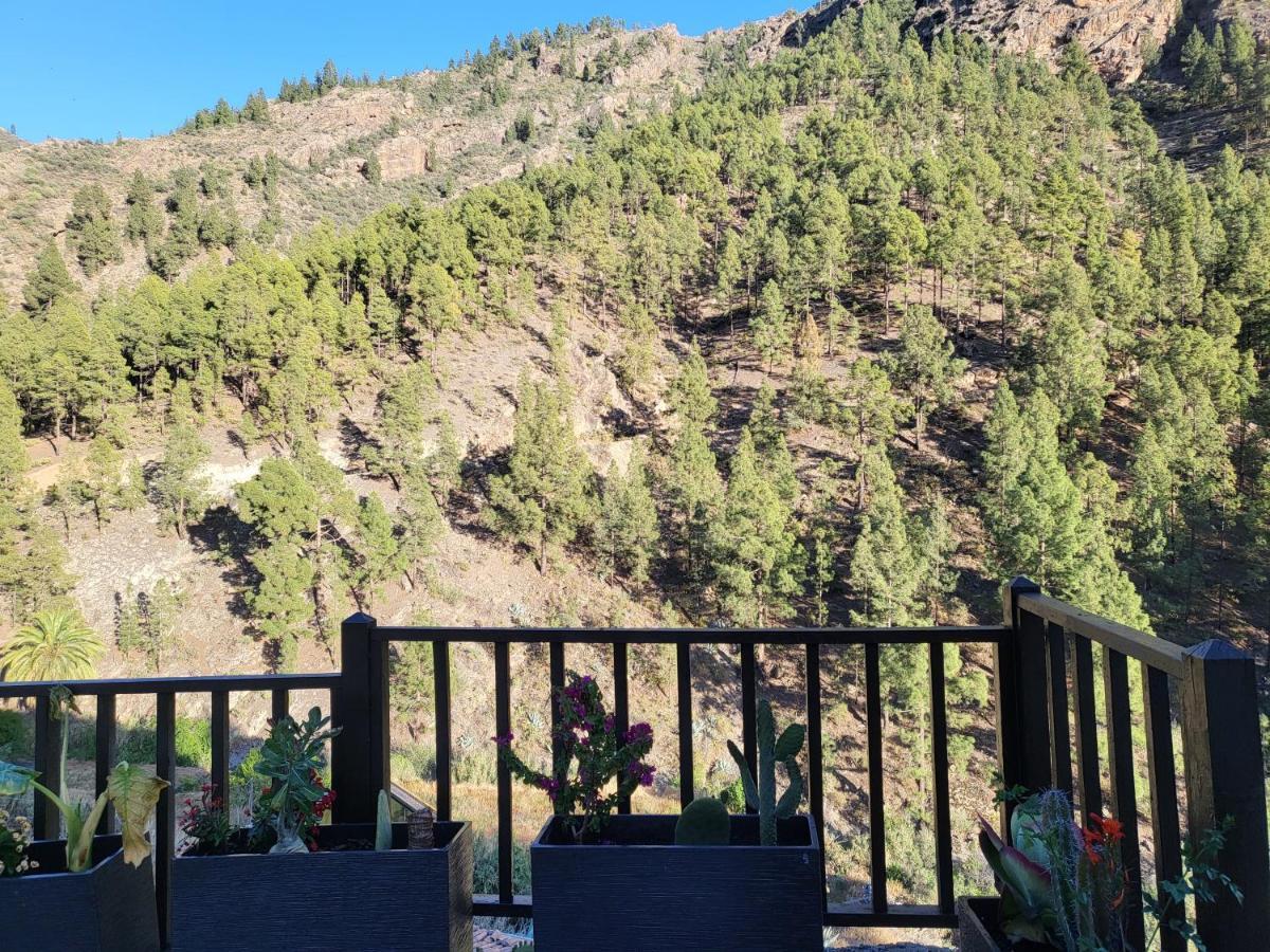 Casa Rural Los Pinares El Juncal De Tejeda ภายนอก รูปภาพ