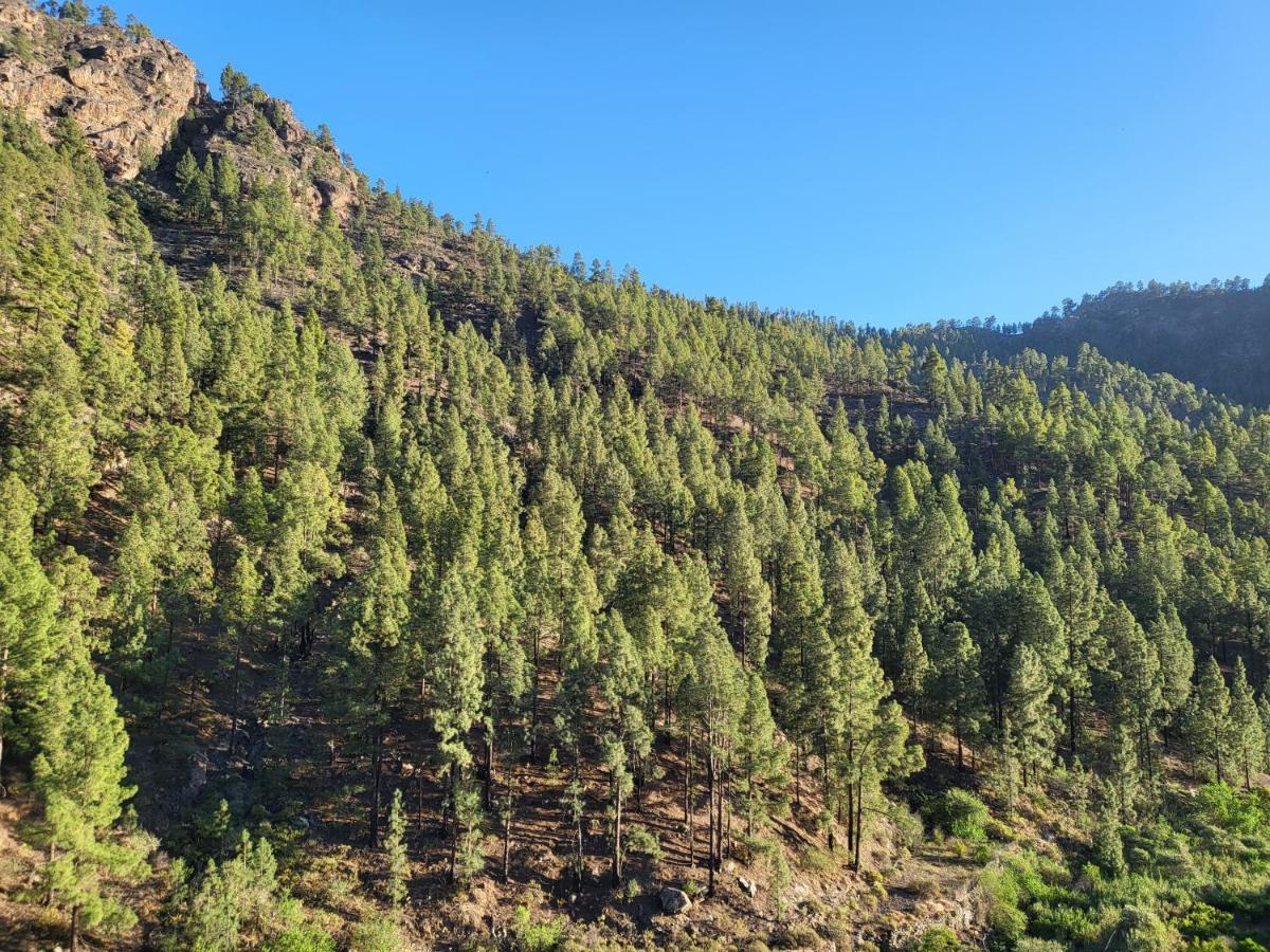 Casa Rural Los Pinares El Juncal De Tejeda ภายนอก รูปภาพ