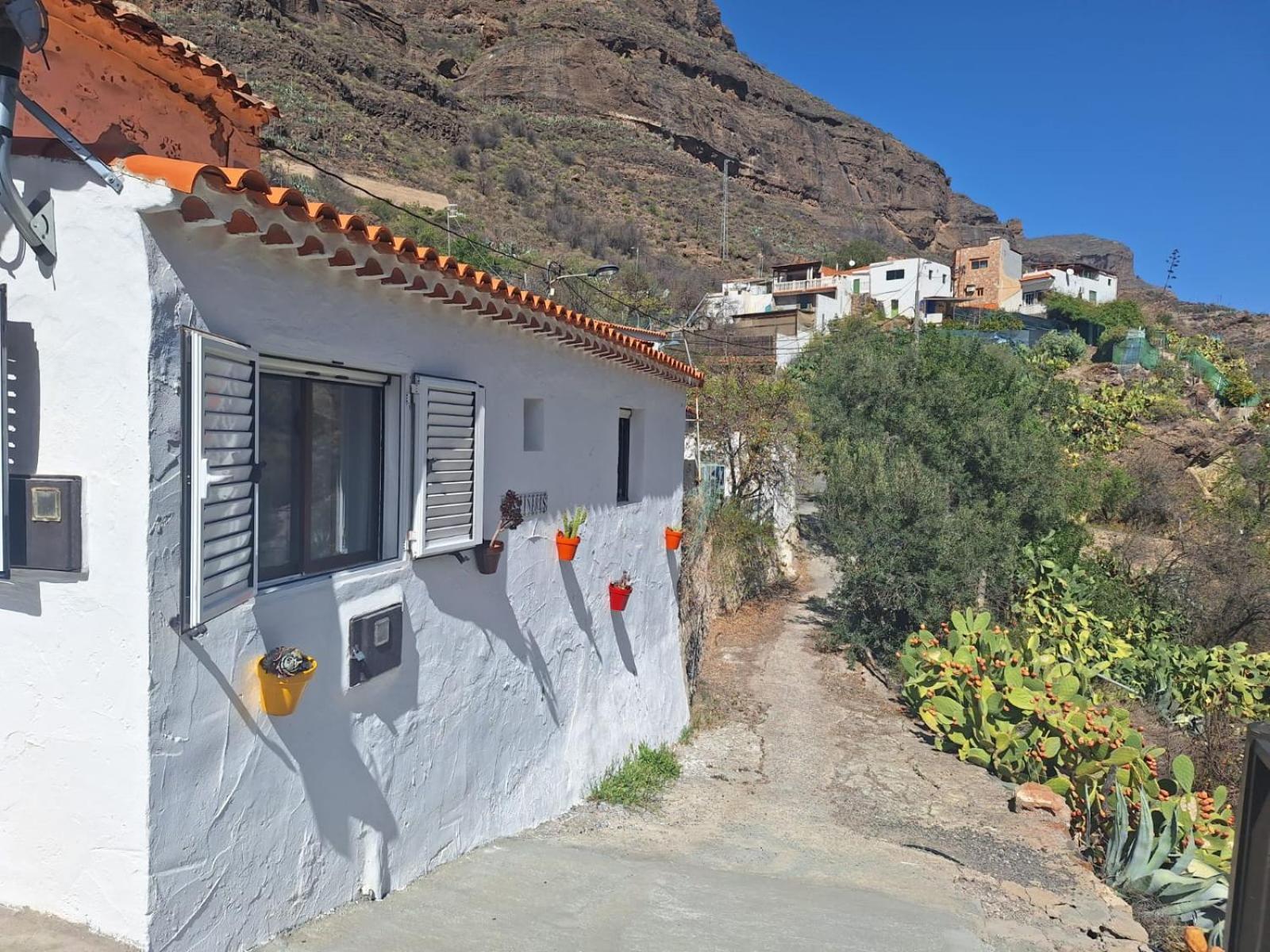 Casa Rural Los Pinares El Juncal De Tejeda ภายนอก รูปภาพ