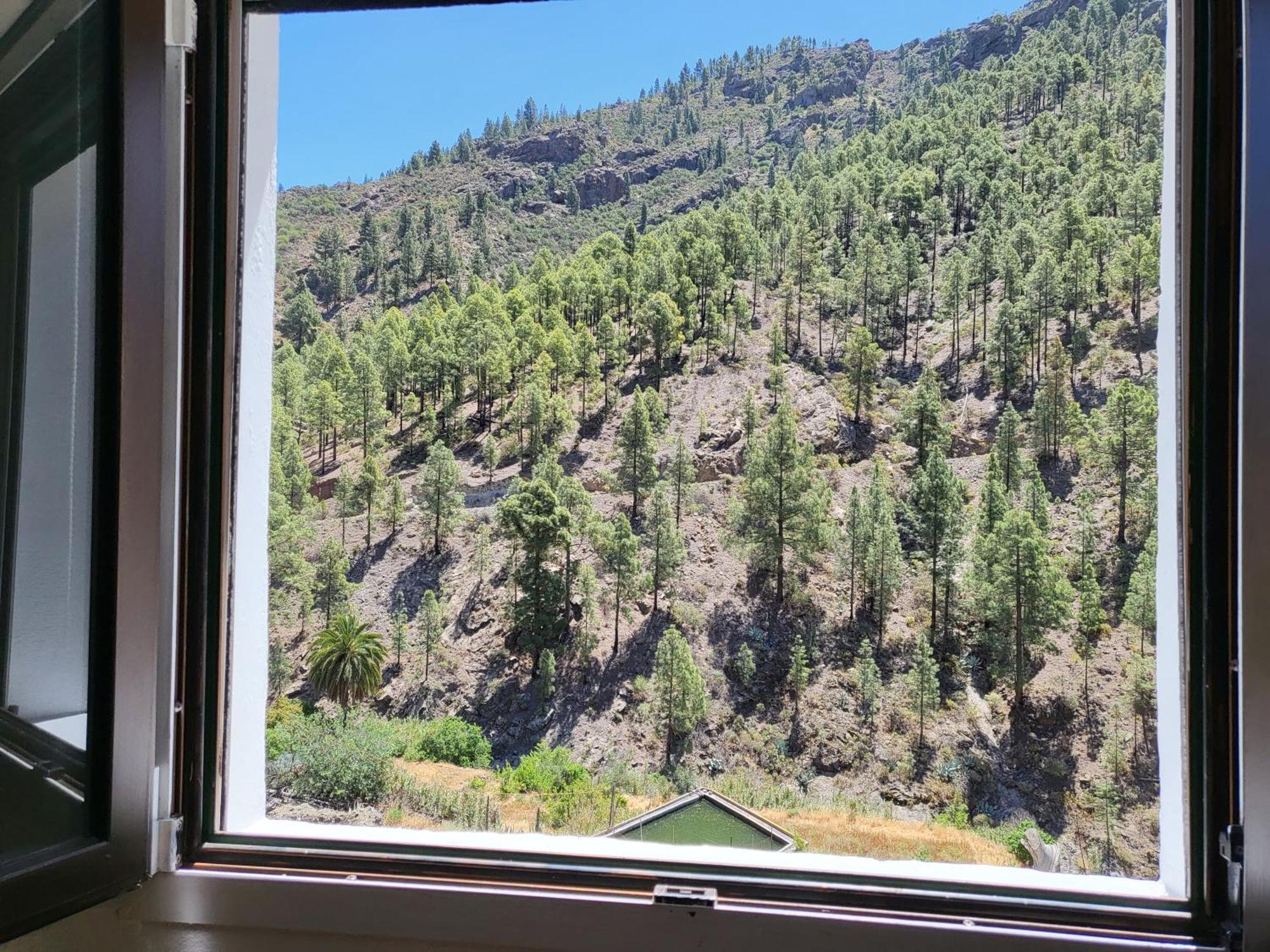Casa Rural Los Pinares El Juncal De Tejeda ภายนอก รูปภาพ